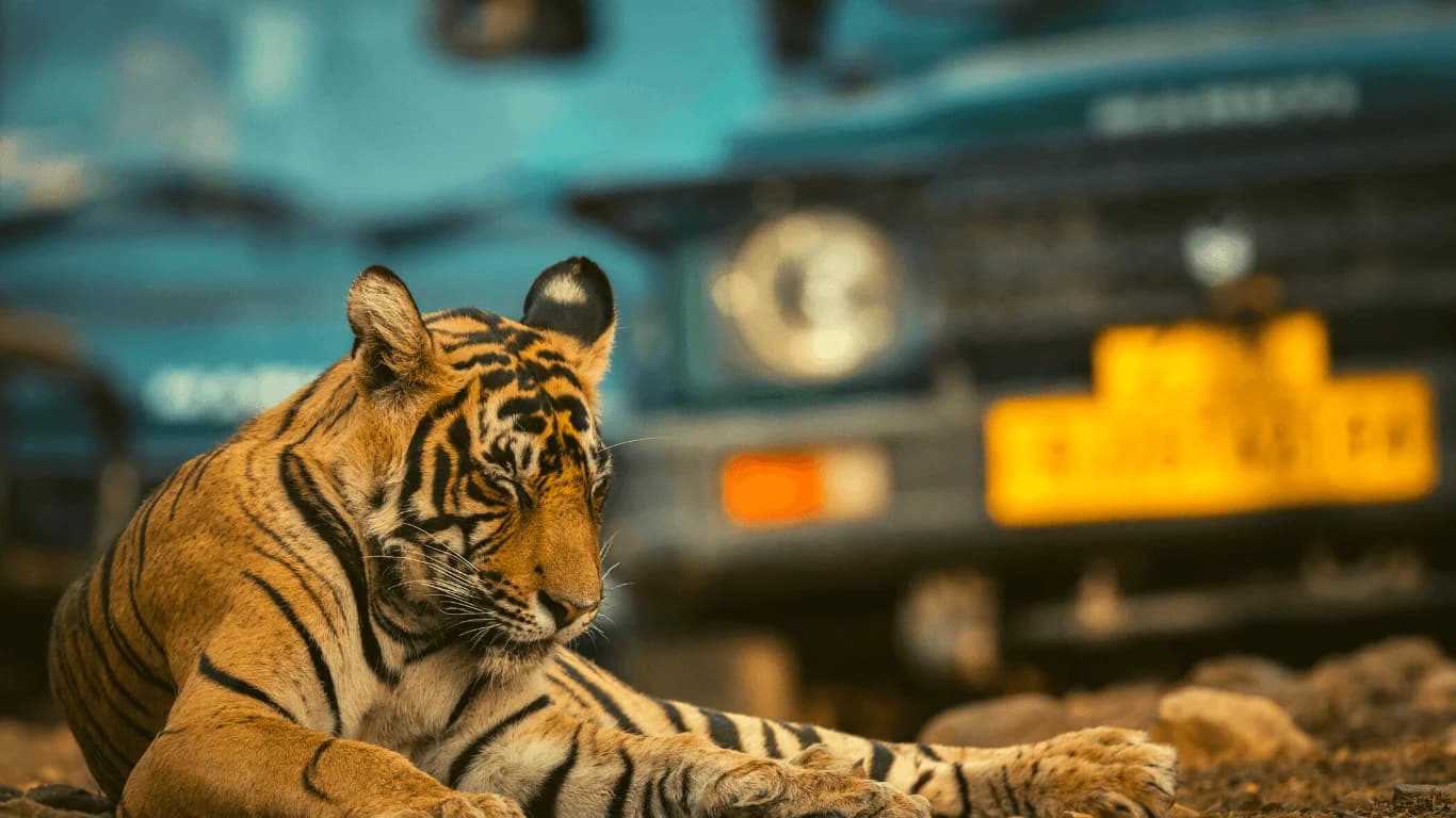 Golden Triangle Tour with Wildlife - Delhi, Agra, Ranthambore & Jaipur 5N/6D - photo 2