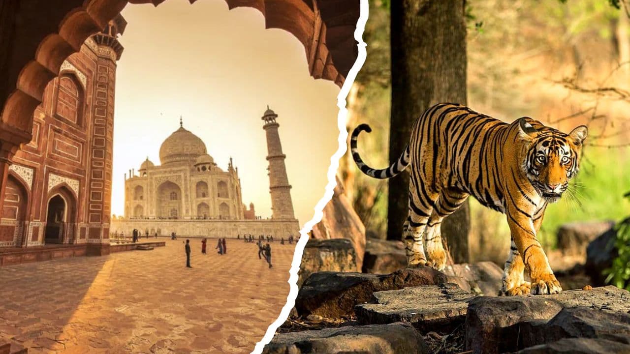 Taj Mahal and a Bengal tiger - Golden Triangle with Ranthambore tiger safari